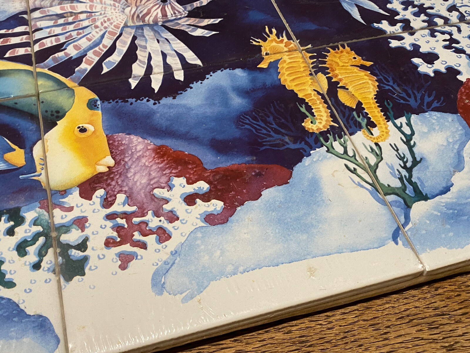Ocean Sea Coral Reef Fish Scene Ceramic Tile Mural New Sealed Paul Brent 6” Tile