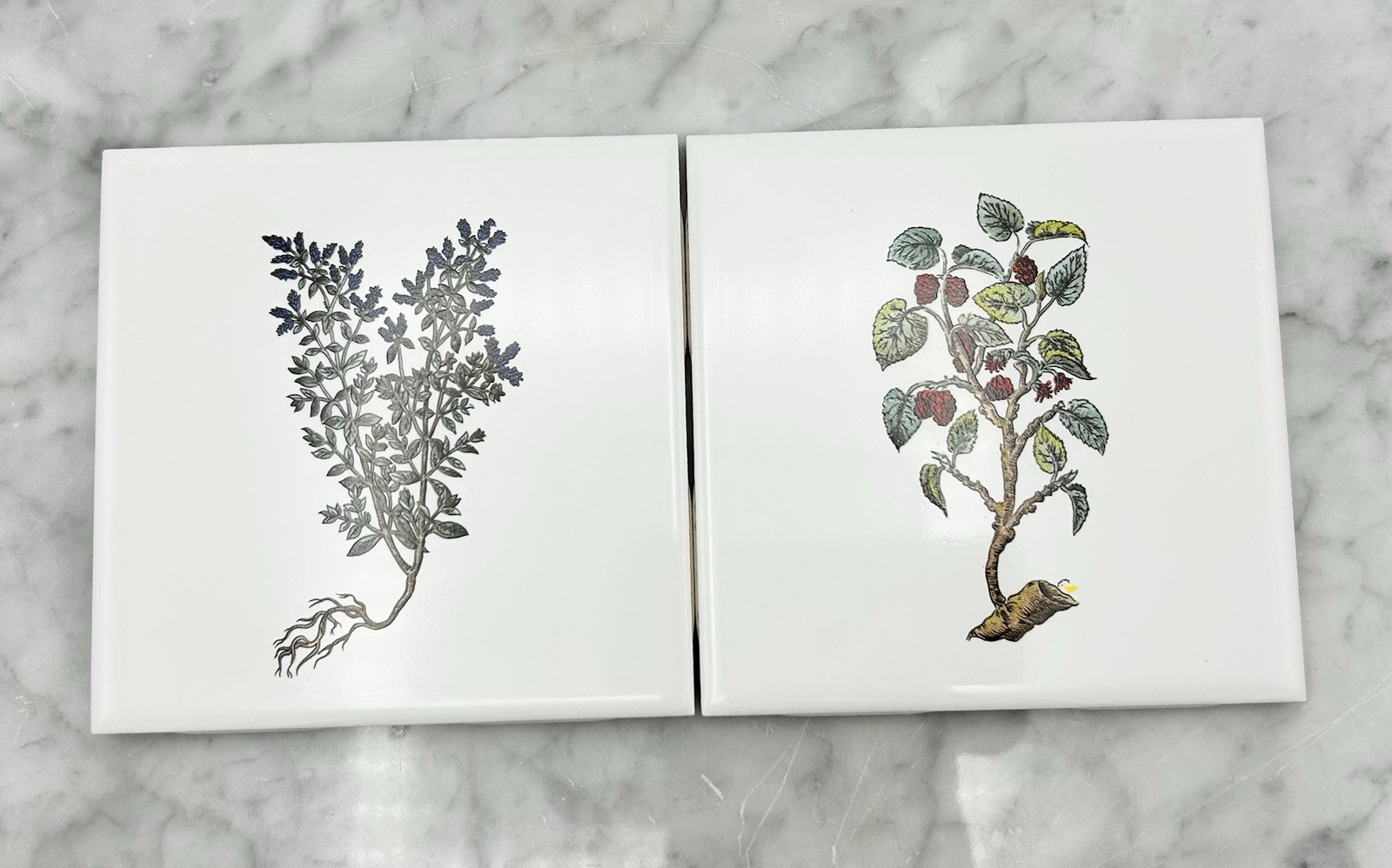 Vintage Floral Tile Mid-State/Mannington MCT 4 3/8″ White Plant Accent Set Of 2