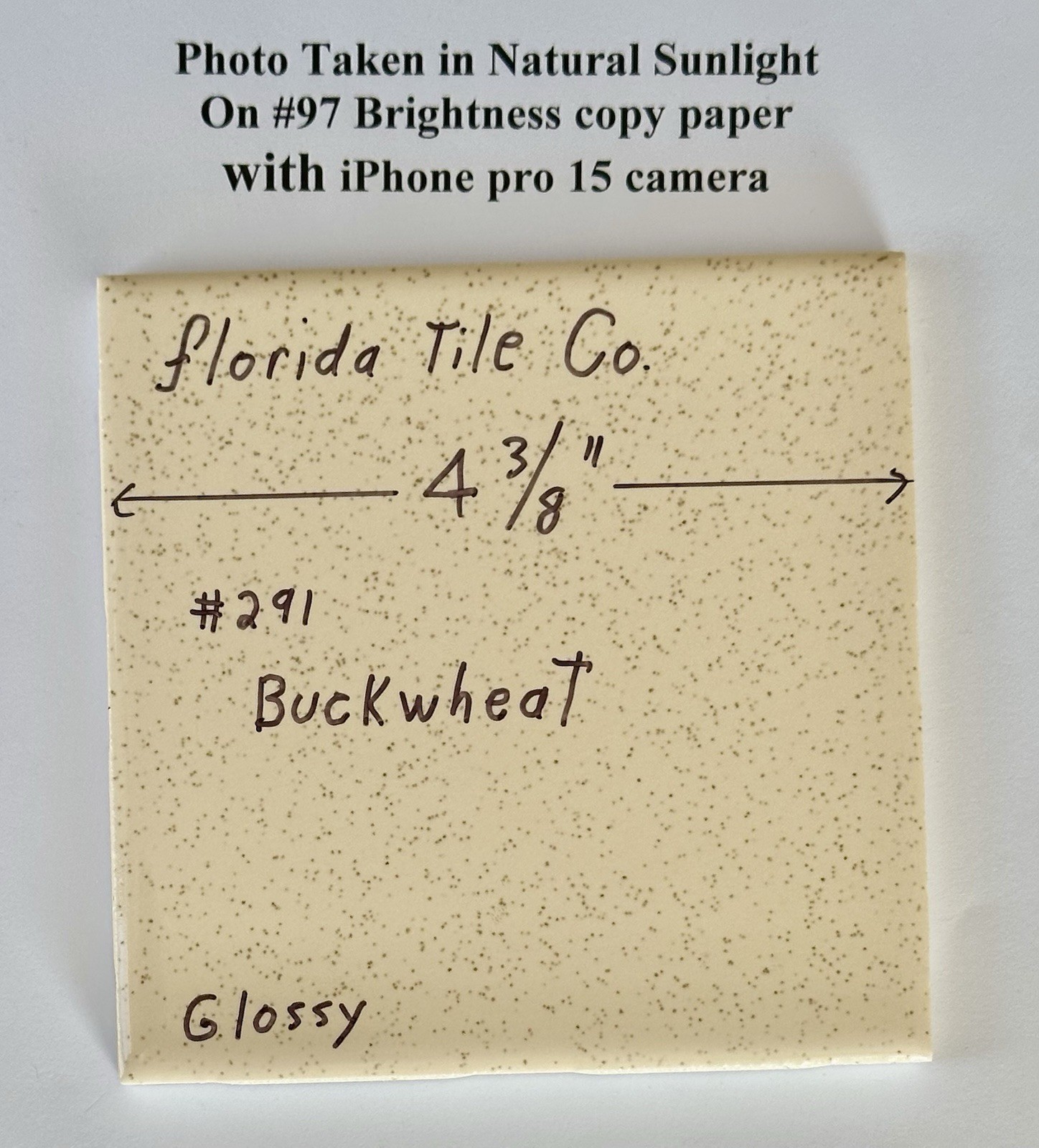 1 pc. Buckwheat 4-3/8″ Glossy Ceramic Tile by Florida Tile Co. NOS, Speckled