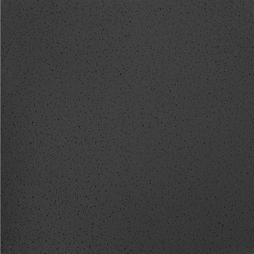 Fine Fissured Black 2 Ft. X 2 Ft. Lay-In Ceiling Tile (64 Sq. Ft. / Case)