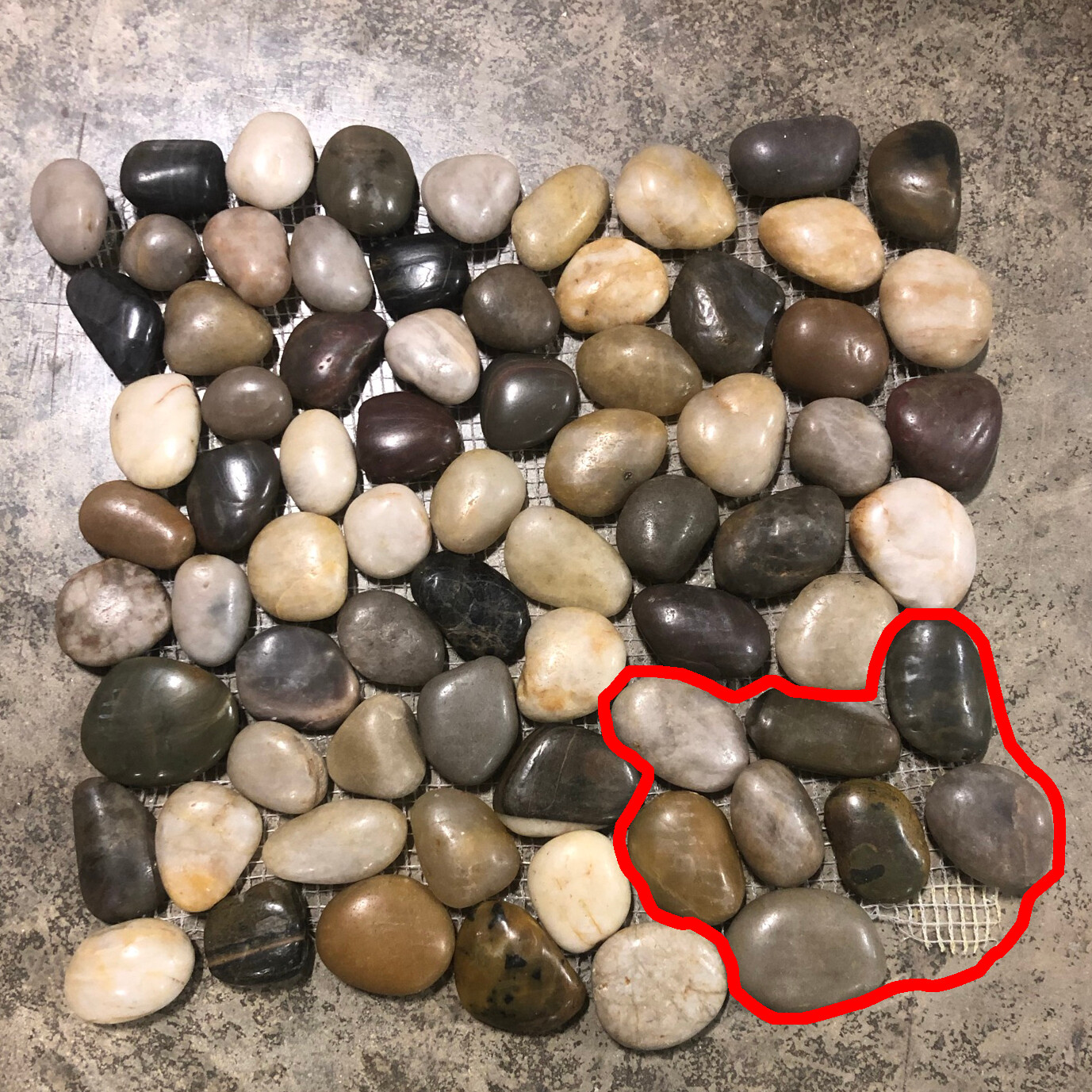 12×12 Tile Mixed Colors Pebble Shower Remodel Stone About 3×3 SAMPLE PIECE TS-14