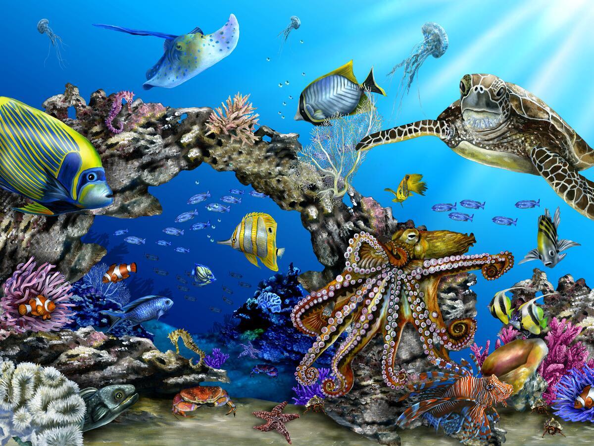 Ceramic Tile Mural Bathroom Backsplash – Octopus Garden – Sea Life Ocean Art