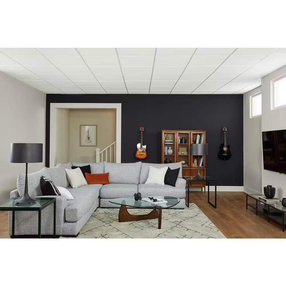 Scored 24 In. X 48 In. Tegular Ceiling Tile (80 Sq. Ft./Case)