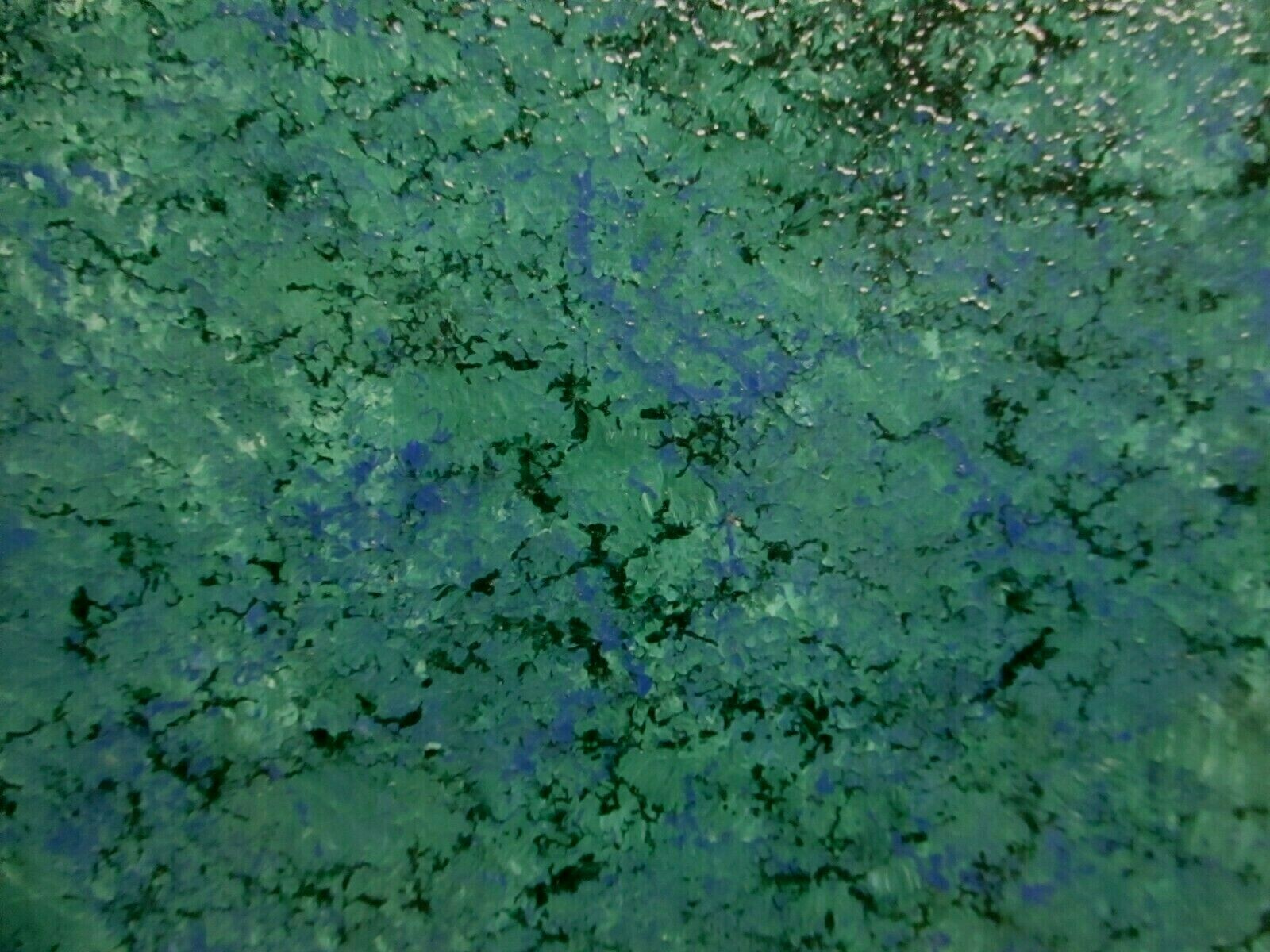 1 Wall Tile US Ceramic USA 4-1/4″ Hand Painted Turquoise Green over Snow White