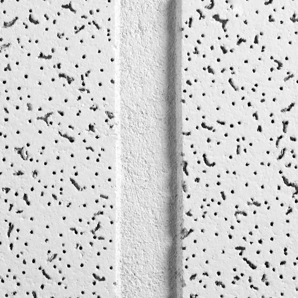 Scored 24 In. X 48 In. Tegular Ceiling Tile (80 Sq. Ft./Case)