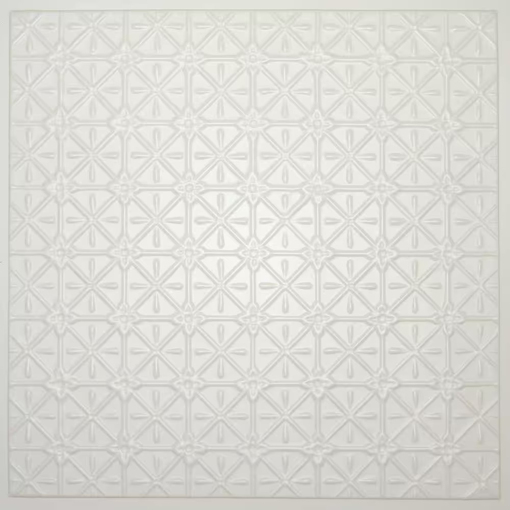 Continental 2 Ft. X 2 Ft. Lay-In or Glue-Up Ceiling Panel (Case of 6)