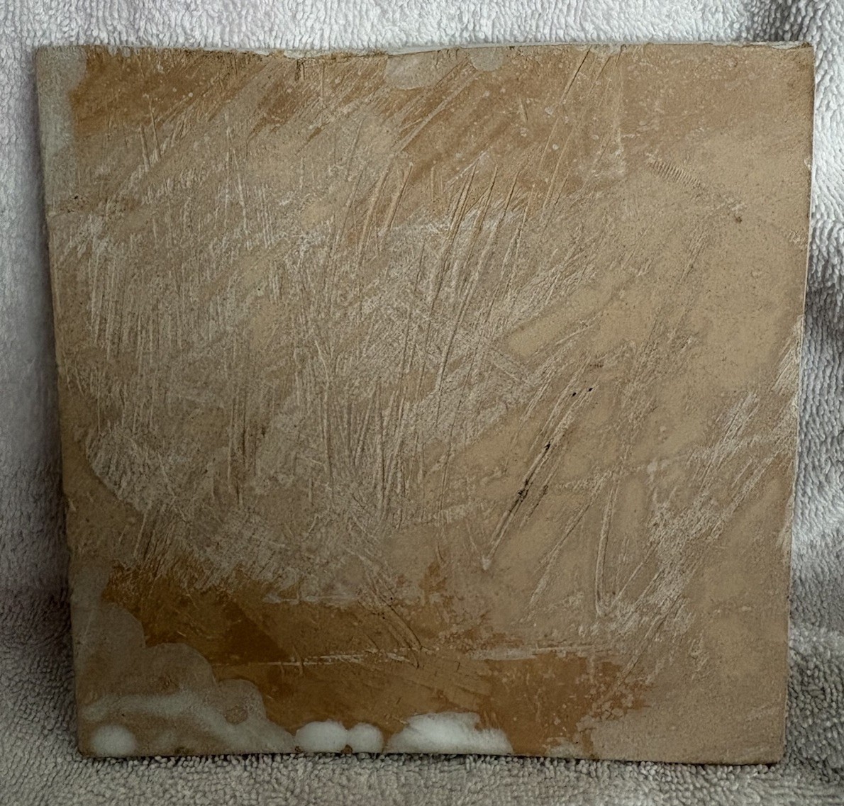1 Ceramic Square Decorative Tile: 4 Onion Garlic Shoots Whitewashed Clay Tile
