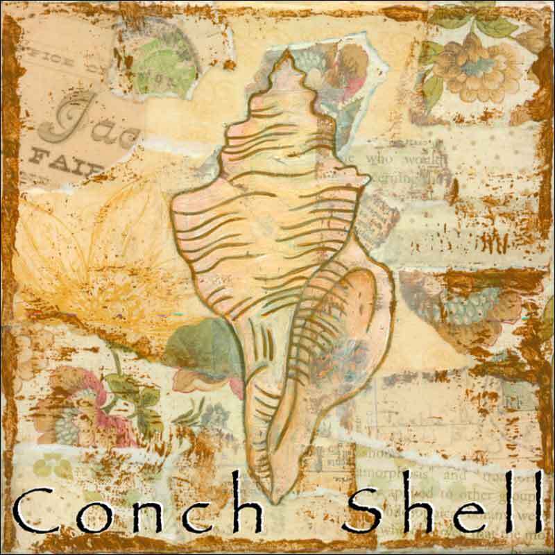 Conch Accent & Decor Tile Bridget McKenna Shell Art CCI-BRI251AT