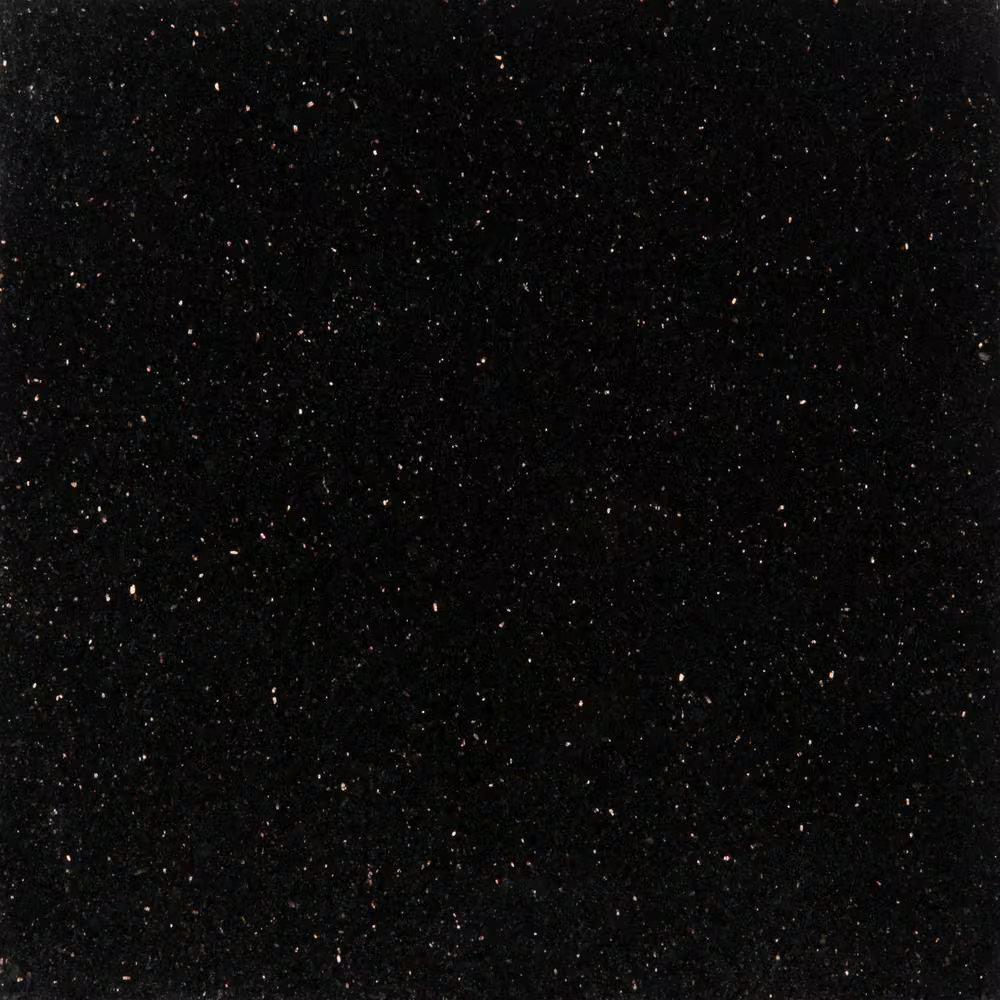 Black Galaxy 18 In. X 18 In. Polished Granite Floor and Wall Tile (9 Sq. Ft./Cas