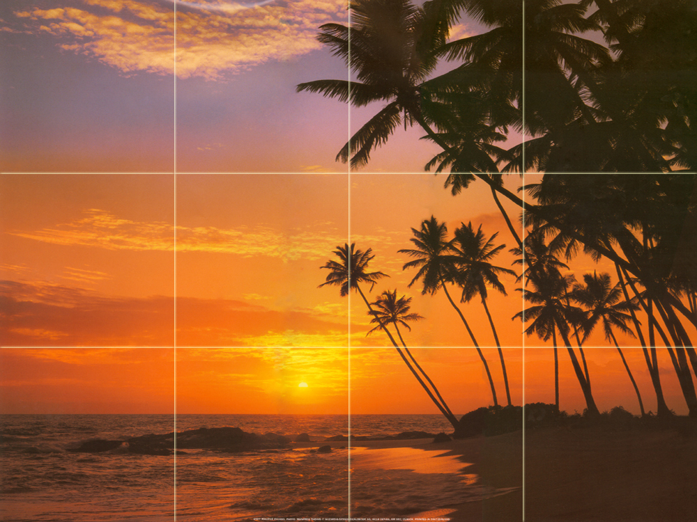 Art Mural Ceramic Palm Sunset Bath Backsplash Tile #151