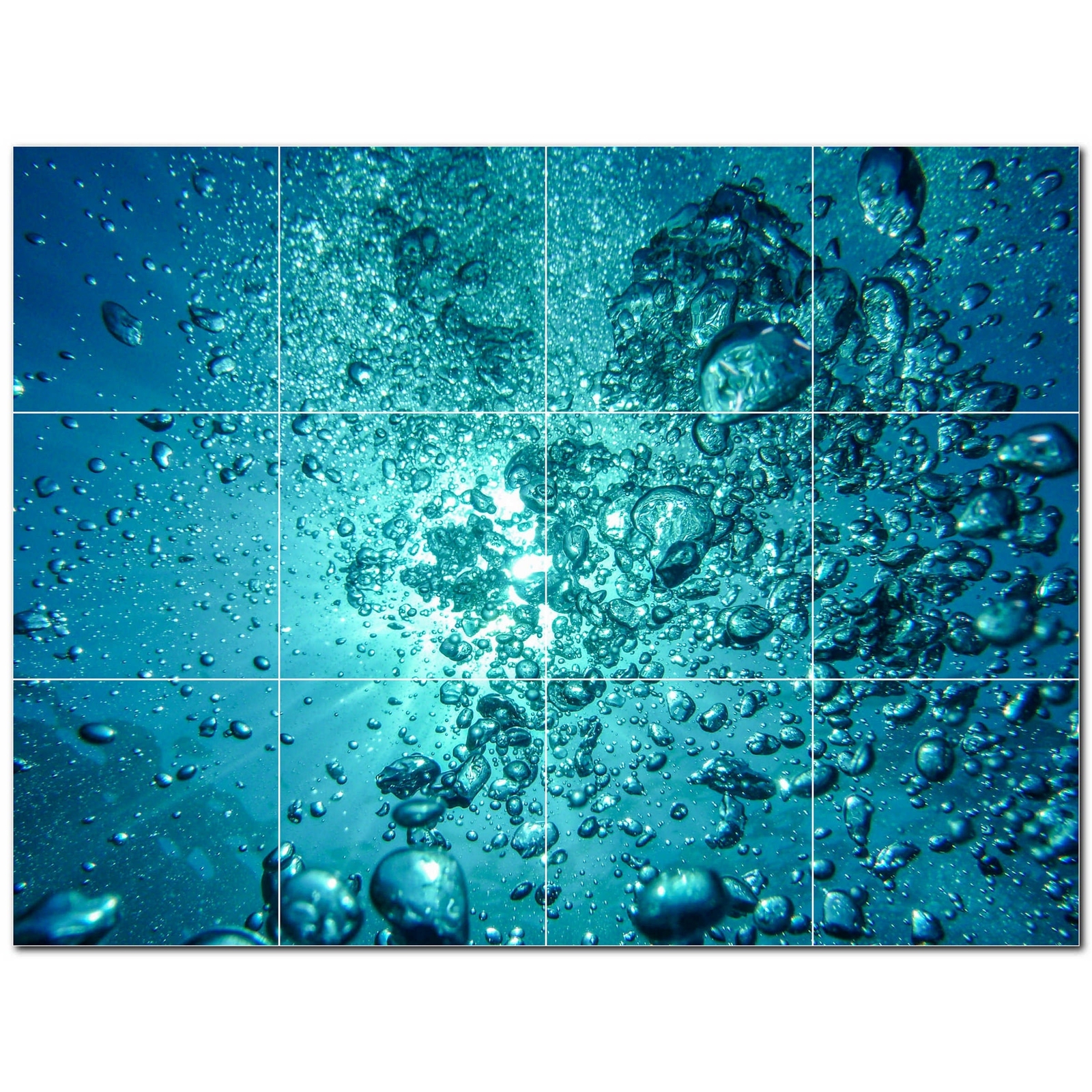 Coral Ceramic Tile Wall Mural PT500421. 32″ W x 24″ H (12) 8×8 tiles