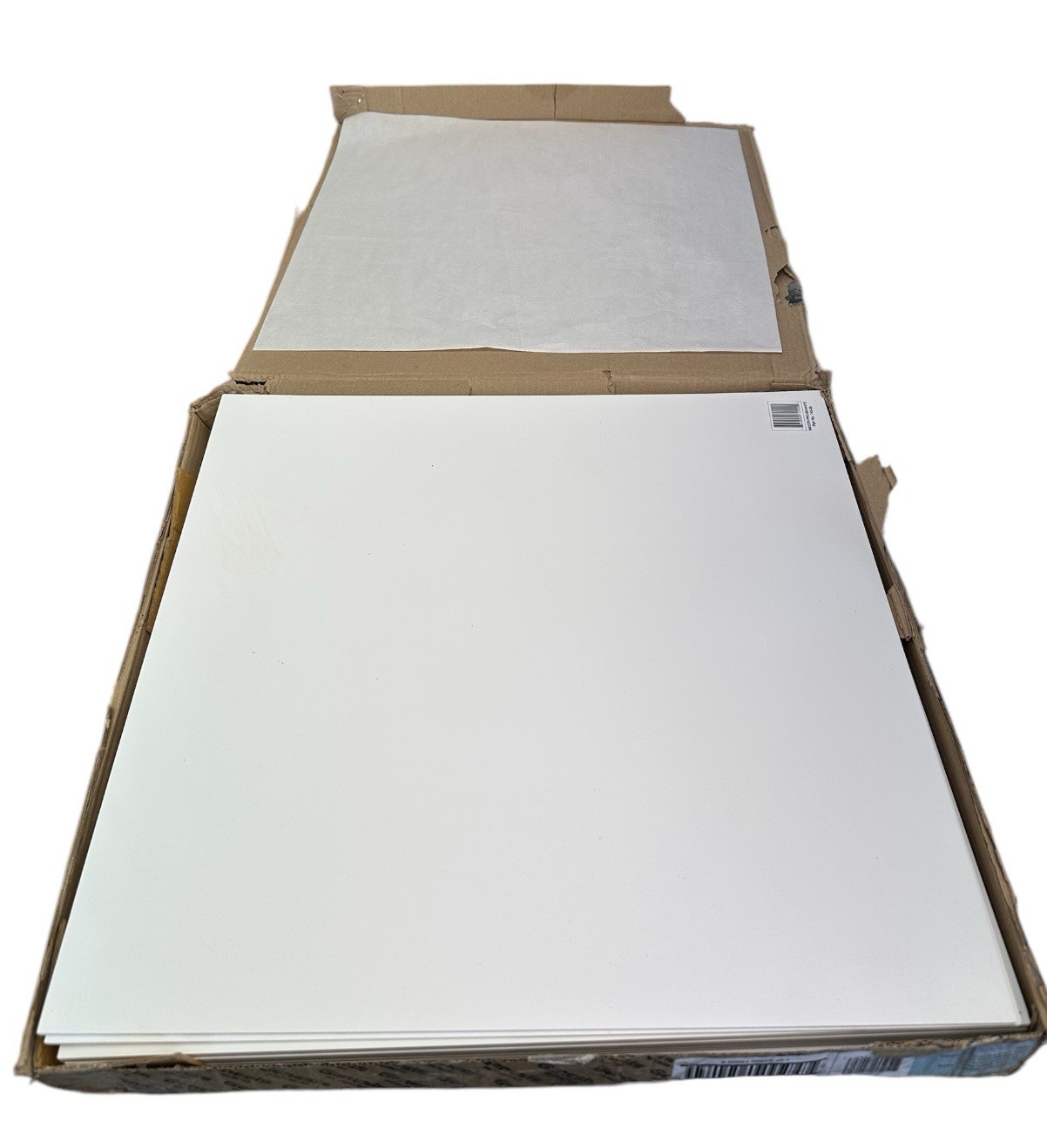 Genesis 2ft x 2ft Smooth Pro White Ceiling Tiles (2-Package of 12 Tiles)