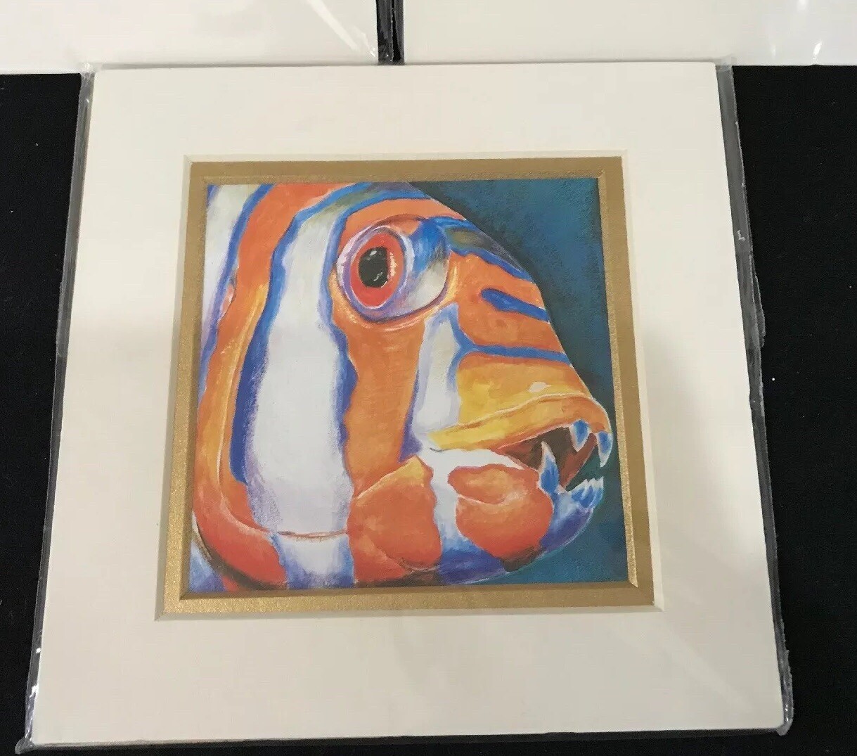 Tropical Ocean Nautical fish Wall Art Multi Color Angel Fish Set 3 Matted 6×6