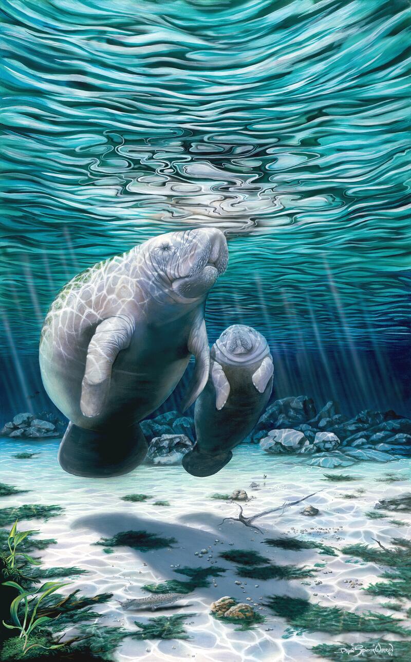 Ceramic Backsplash Tile Mural Mermaid Fantasy – Mermaids of Crystal River