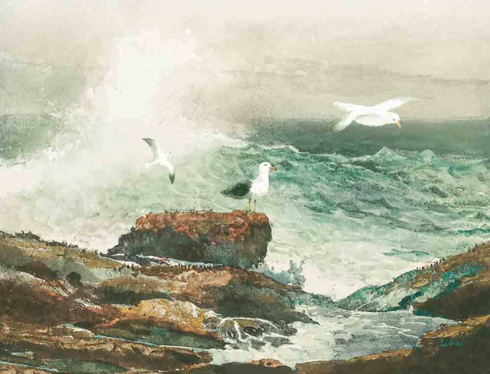 Seascape Accent & Decor Tile Steve Hunziker Ocean Art OB-SH846AT