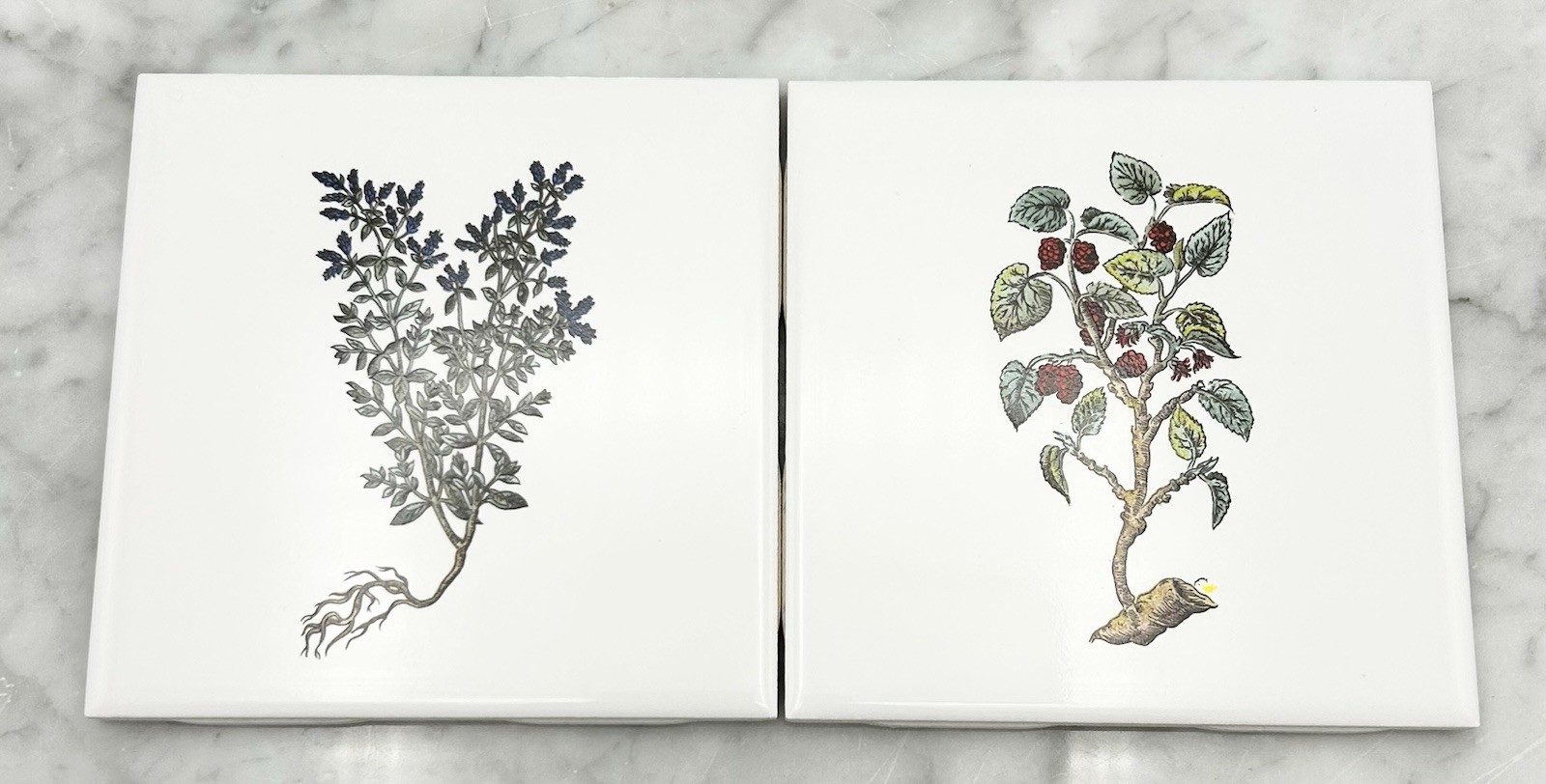 Vintage Floral Tile Mid-State/Mannington MCT 4 3/8″ White Plant Accent Set Of 2