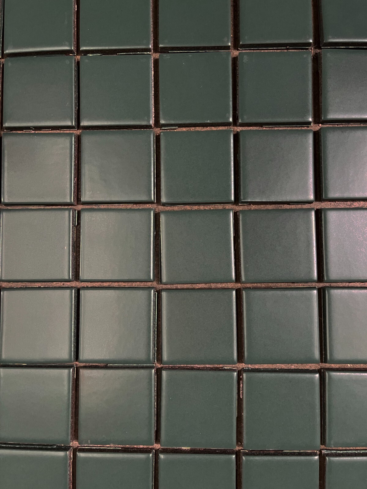 Lily Pad Green 2×2* Tile 10 Square Feet Wall Border Ceramic Summitville C# 659