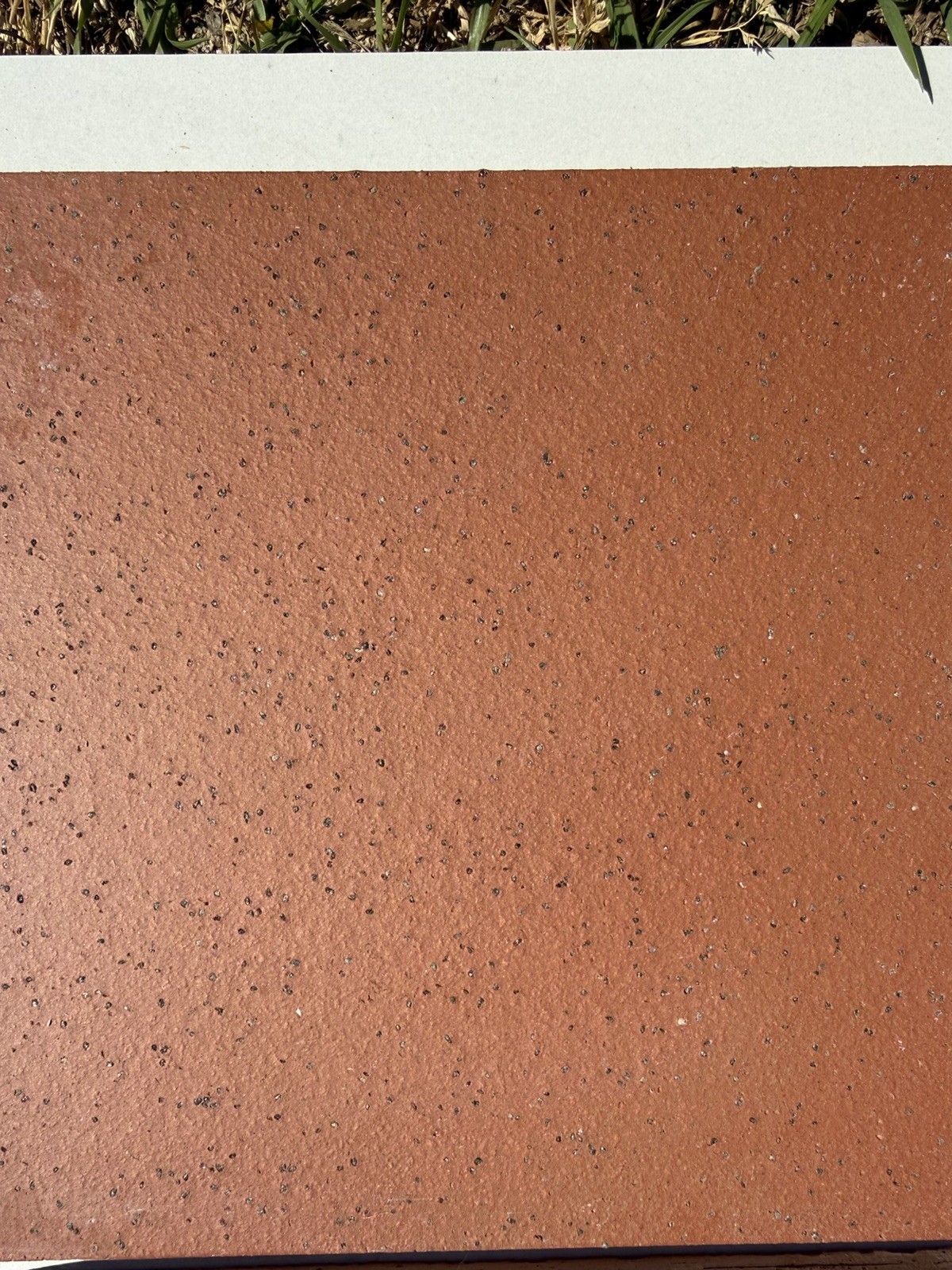 Abrasive Diablo Red Quarry Textures 8×8 Floor Tile – 25 PC Carton