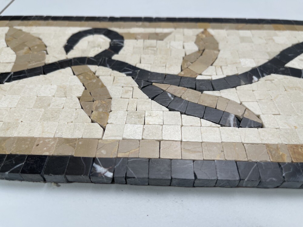 B0069P Marble Mosaic Border Listello Accent Tile Ivy Gold 5.9×13.4 Polished