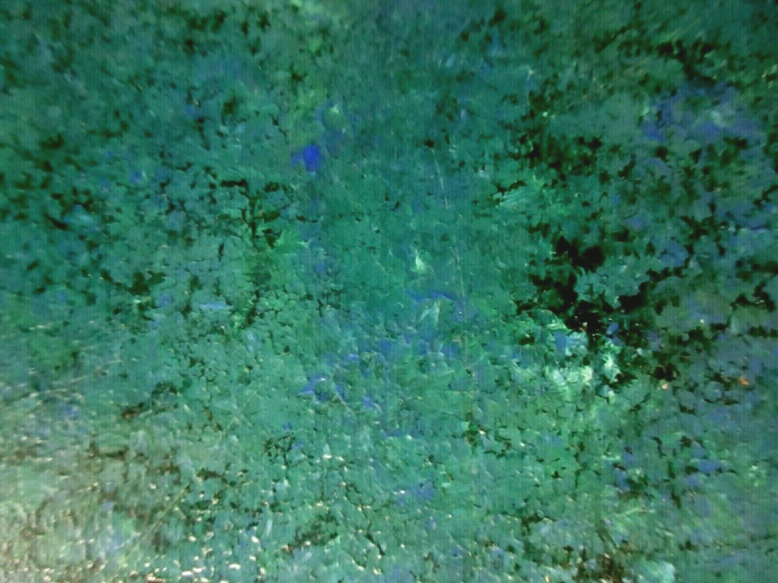 1 Wall Tile US Ceramic USA 4-1/4″ Hand Painted Turquoise Green over Snow White