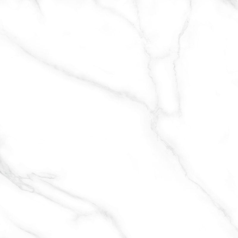 Porcelain Tiles – 24 x 24 inch – Bianco – 4 tiles/box (Minimum 10 box to buy)
