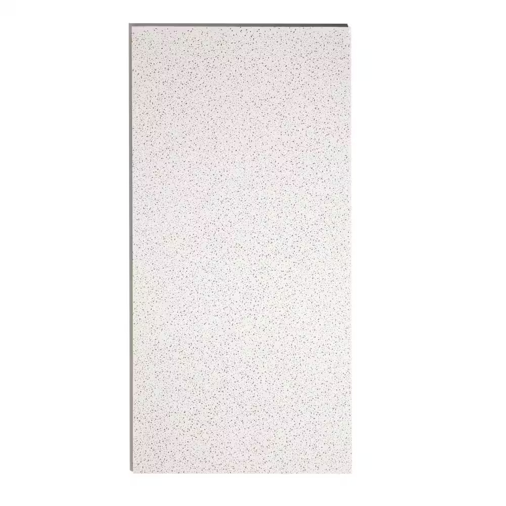2 Ft. X 4 Ft. Radar White Square Edge Lay-In Ceiling Tile, Case of 8 (64 Sq. Ft)