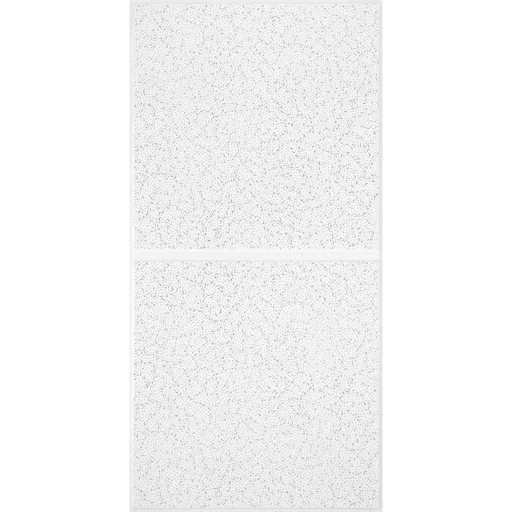 Scored 24 In. X 48 In. Tegular Ceiling Tile (80 Sq. Ft./Case)