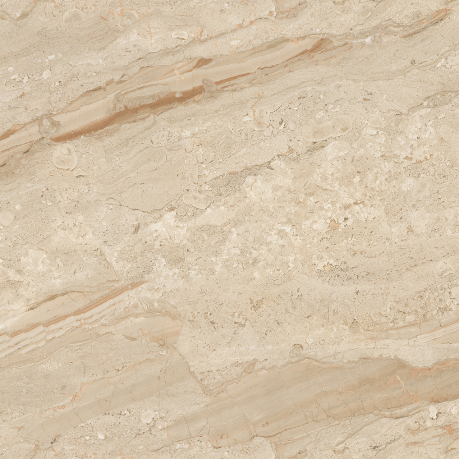 My Luxury Flooring MK GLOSSY Endmatch 37 Porcelain Tiles – 24×48 In Light Beige