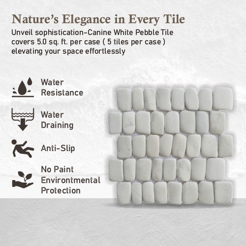 Canine White Natural Stone Mosaic Wall & Floor Tile ($16.8/SqFt)