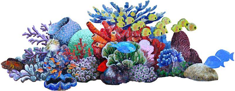 Big Tropical Coral Reef Fish Glass Mosaic Swim Pool Tile Wall Art Bath Shower