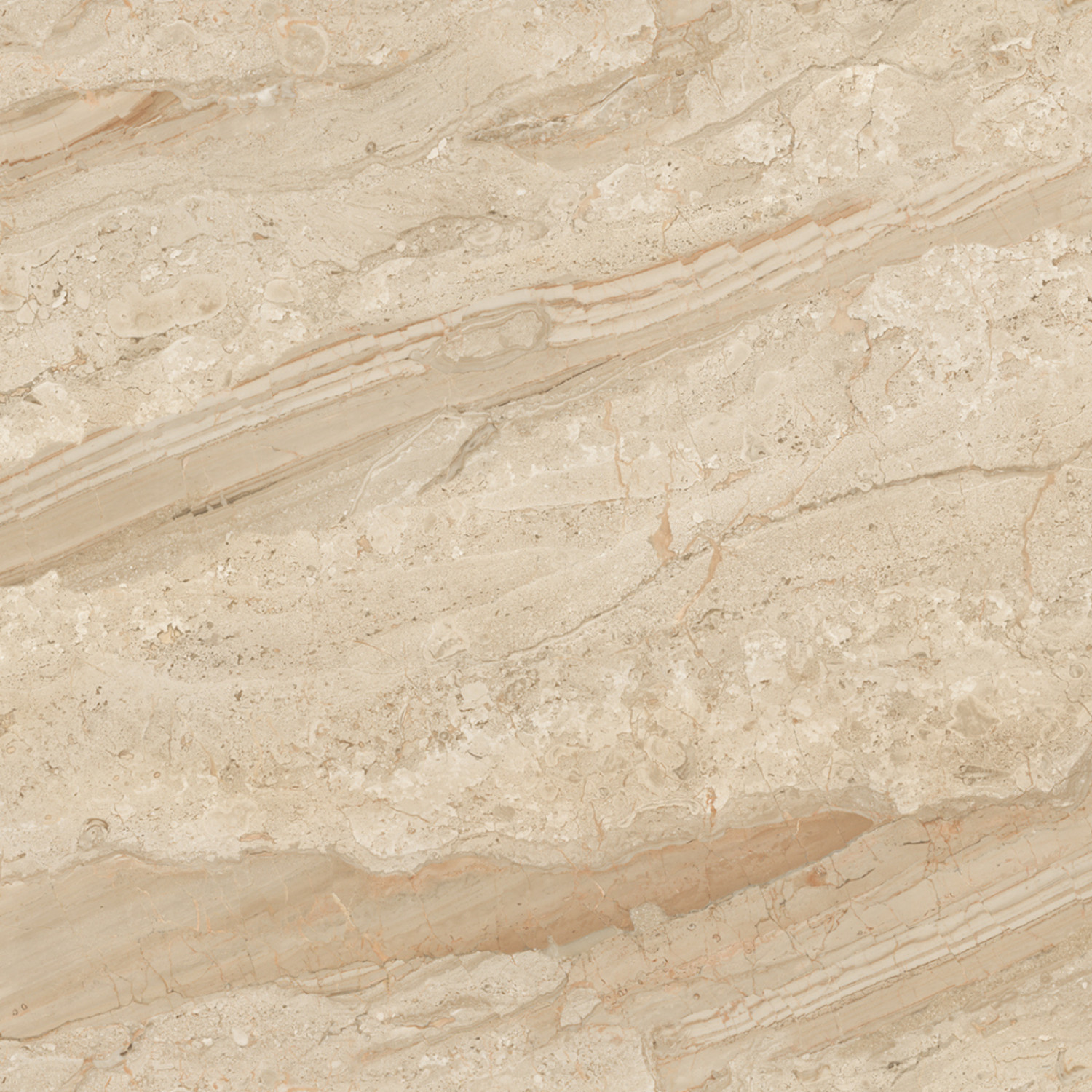 My Luxury Flooring MK GLOSSY Endmatch 37 Porcelain Tiles – 24×48 In Light Beige