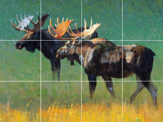 Moose pair deer wildlife nature country western ceramic tile mural backsplash