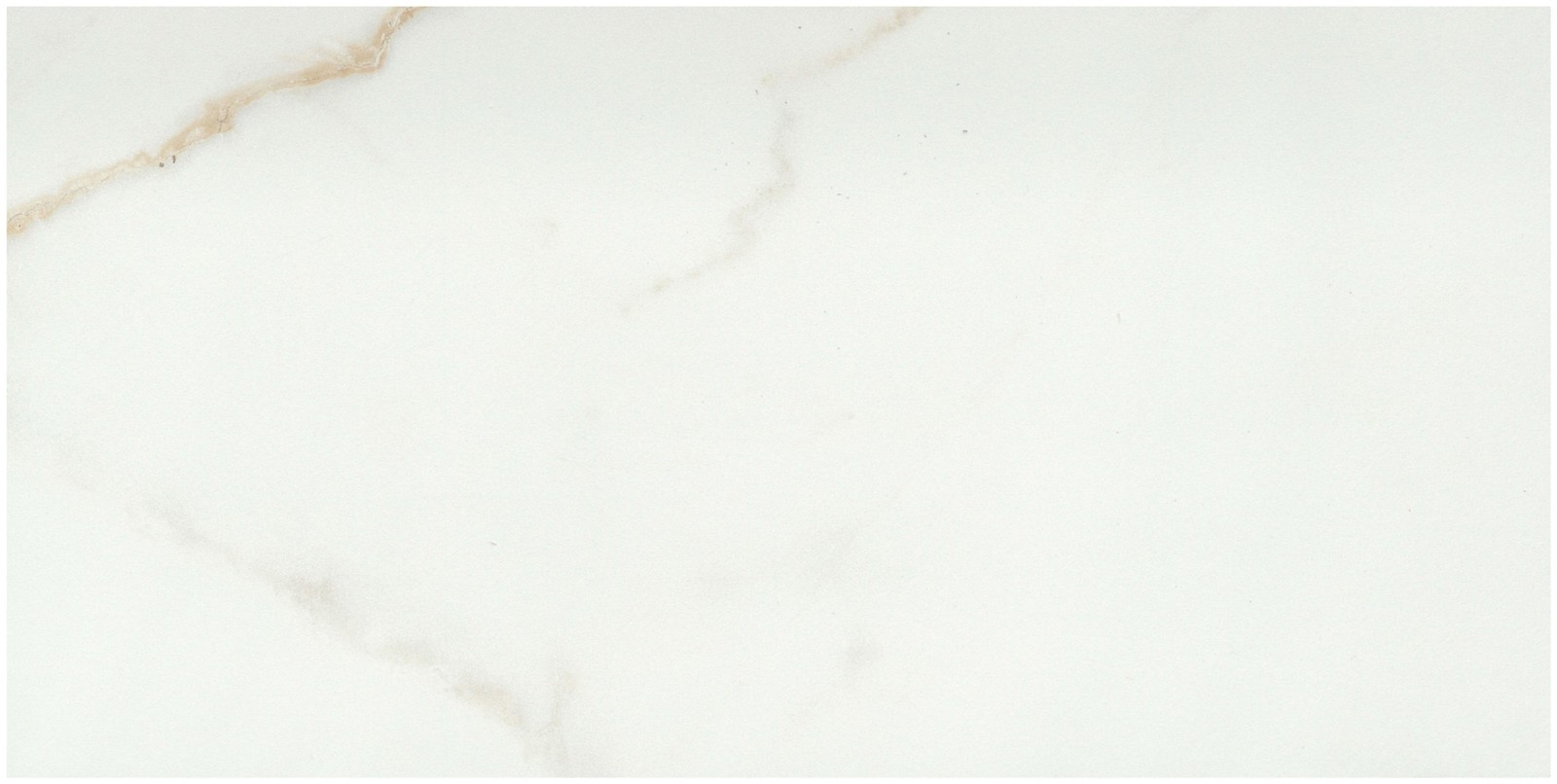 Emser Tile F20VISC1224M Visconde – 12″ x 24″ Floor and Wall Tile – Oro