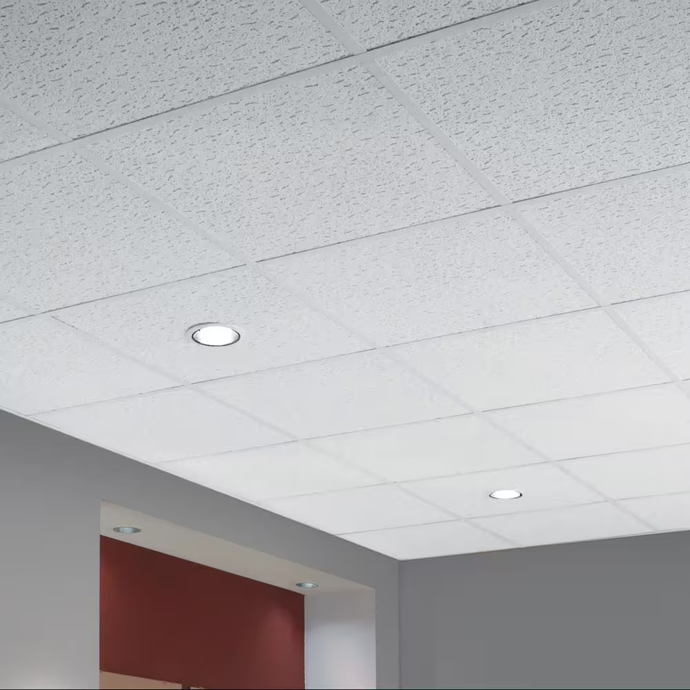 Textured 2 Ft. X 2 Ft. Lay-In Ceiling Tile (64 Sq. Ft. / Case) Free Ship NEW