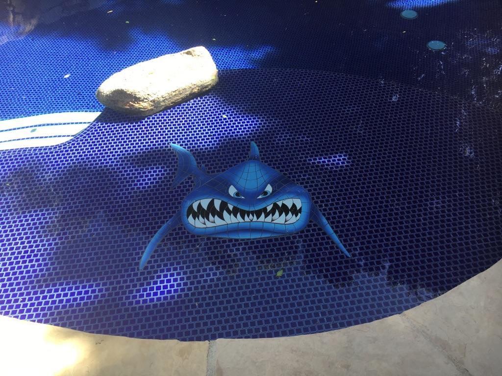 Mosaic In Your Face Shark for Swimming Pool or Wall 42”x38” BIG * FREE SHIPPING