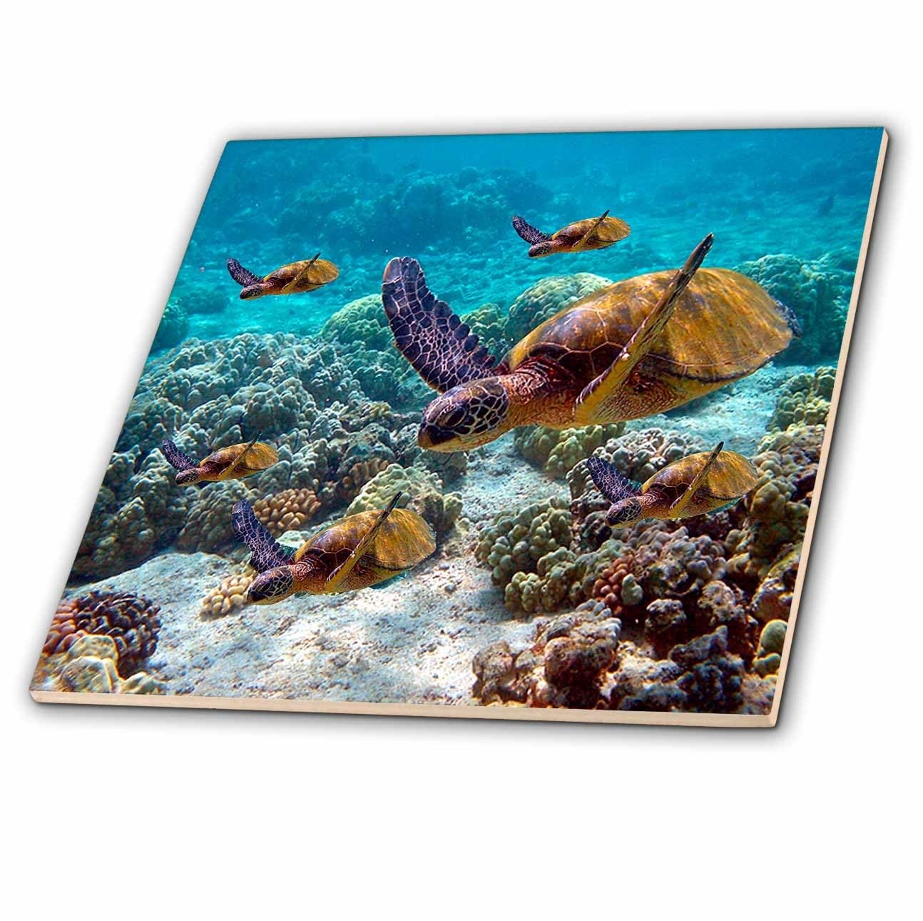 3dRose Sea Turtles Ceramic Tile 12 Inch Ocean Turtle Wall Art Decor