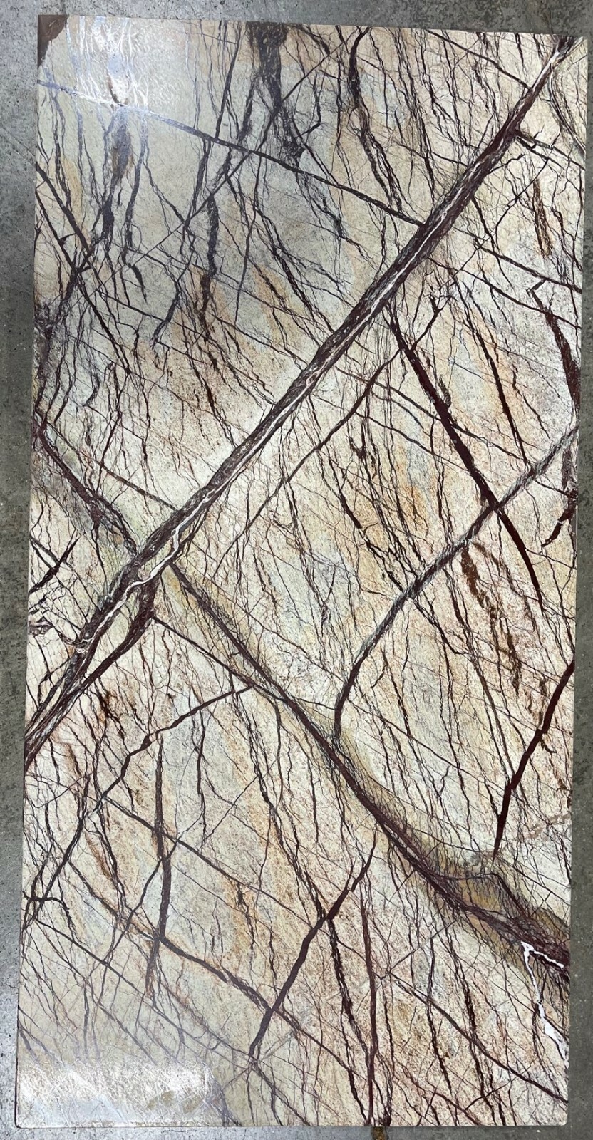 Rainforest Brown 12×24 Tile Natural Stone Remodel Floor 180 sq ft. T-100