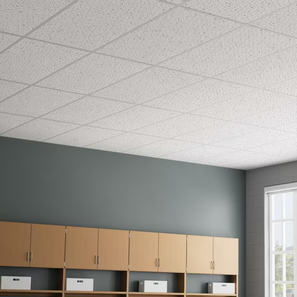 2 Ft. X 4 Ft. Radar High-Nrc White Square Edge Lay-In Ceiling Tile, Case of 6 (4