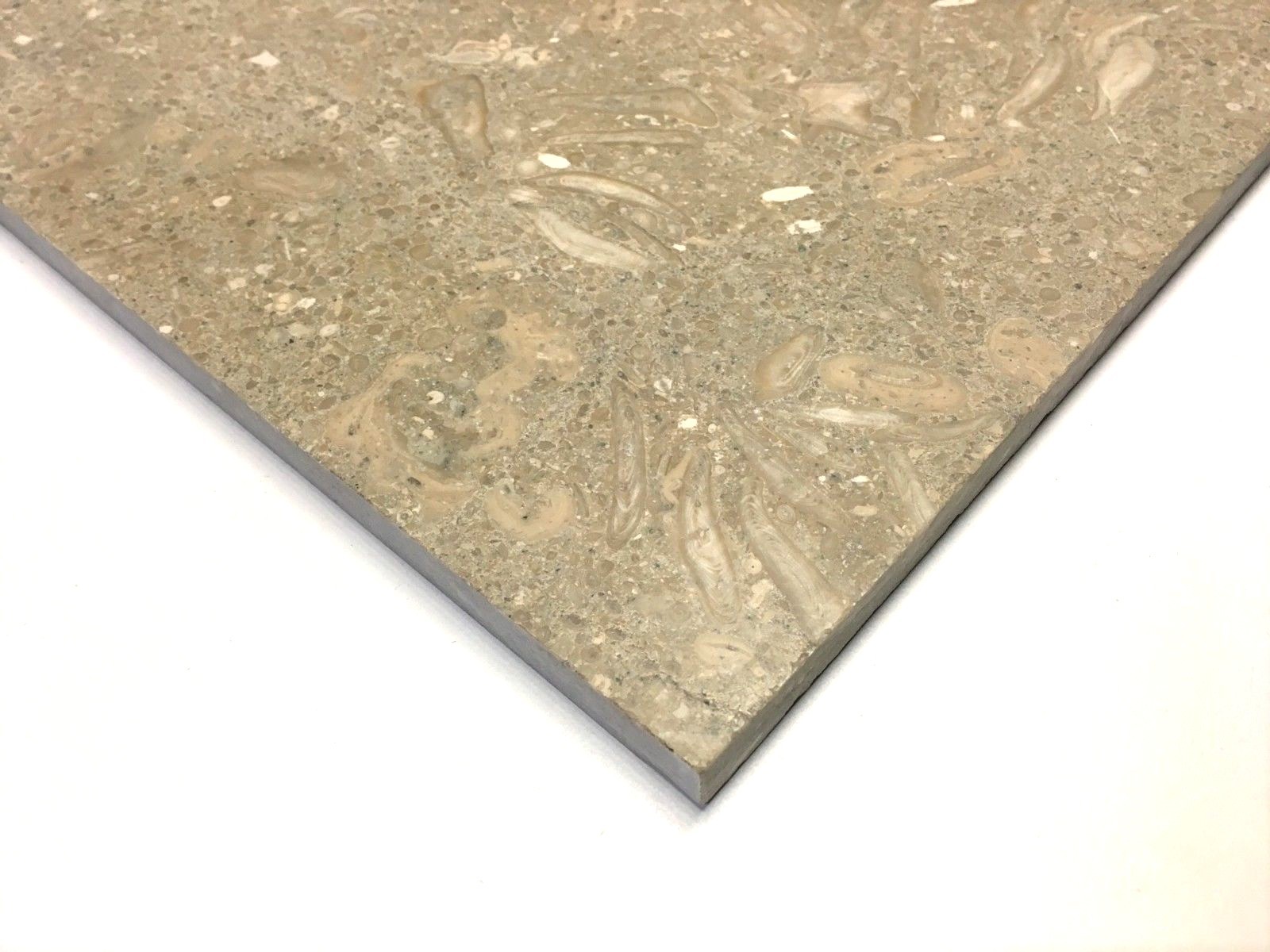 12×12 Seagrass Limestone Honed Straight Edge Backsplash Wall Tile Kitchen Bath