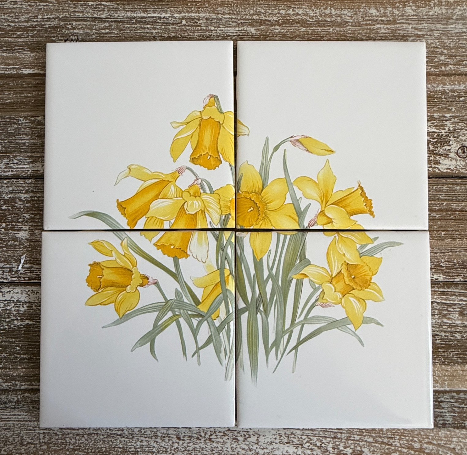 Vintage Yellow Daffodils Tile Mural Set 4 on White USA Wildflower Garden