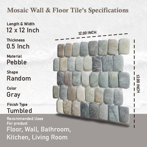 Canine Mix Natural Stone Mosaic Wall & Floor Tile ($17.01/SqFt)