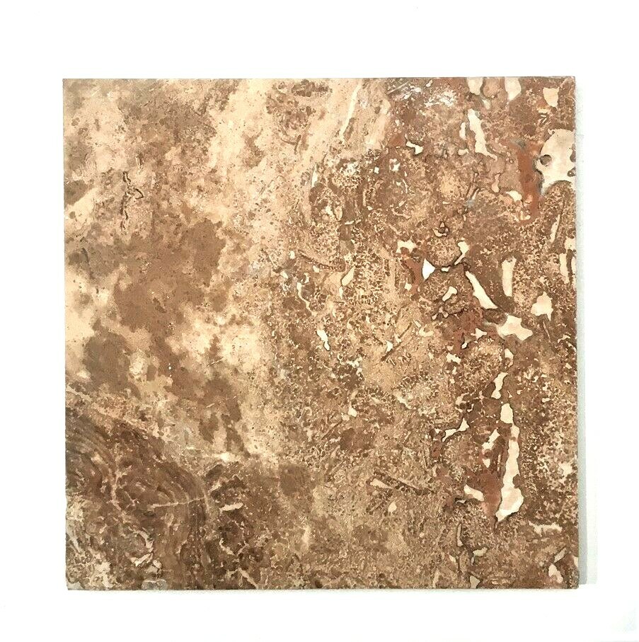 Noce 5 1/2 x 5 1/2 Filled Polished Travertine Tile Floor Wall (Sold per Piece)