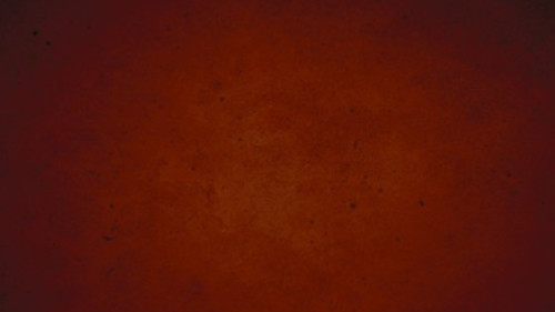 Fast Drying Concrete Stain-Professional-Easy to Use 100-150sq ft Brownish Red
