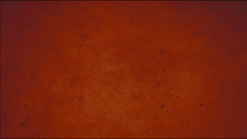 Fast Drying Concrete Stain-Professional-Easy to Use Sample Pack 16 4oz Bottles