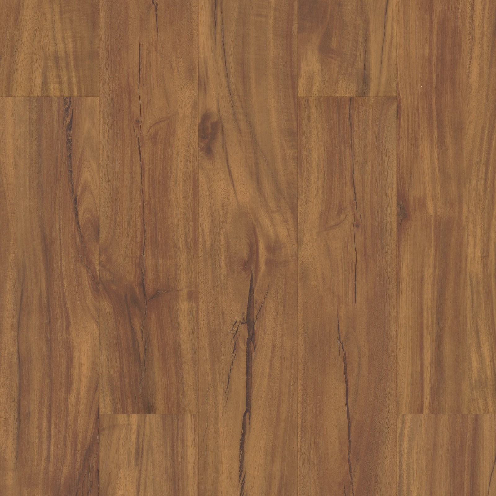 COREtec Originals Classics Gold Coast Acacia VV023-00201 Waterproof Vinyl Plank