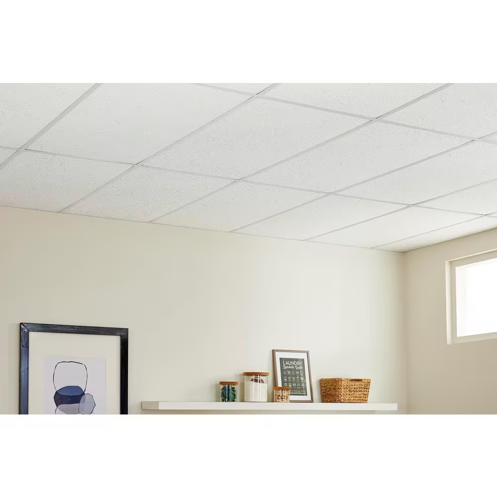 Textured 2 Ft. X 4 Ft. Lay-In Ceiling Tile (80 Sq. Ft. / Case)