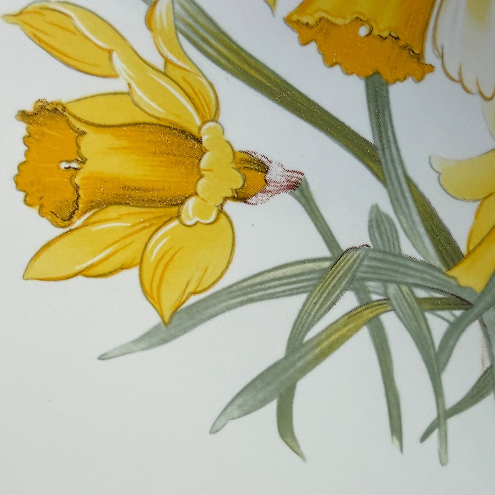 Vintage Yellow Daffodils Tile Mural Set 4 on White USA Wildflower Garden
