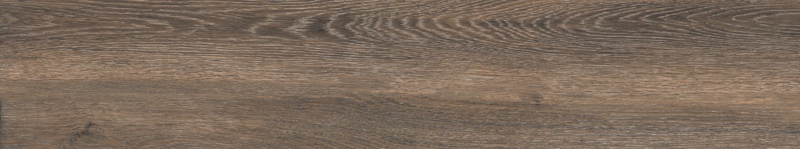 Ackland AKNPTCAM6X36M-PL Camila – 6″ x 36″ Porcelain Wood Look – Noire