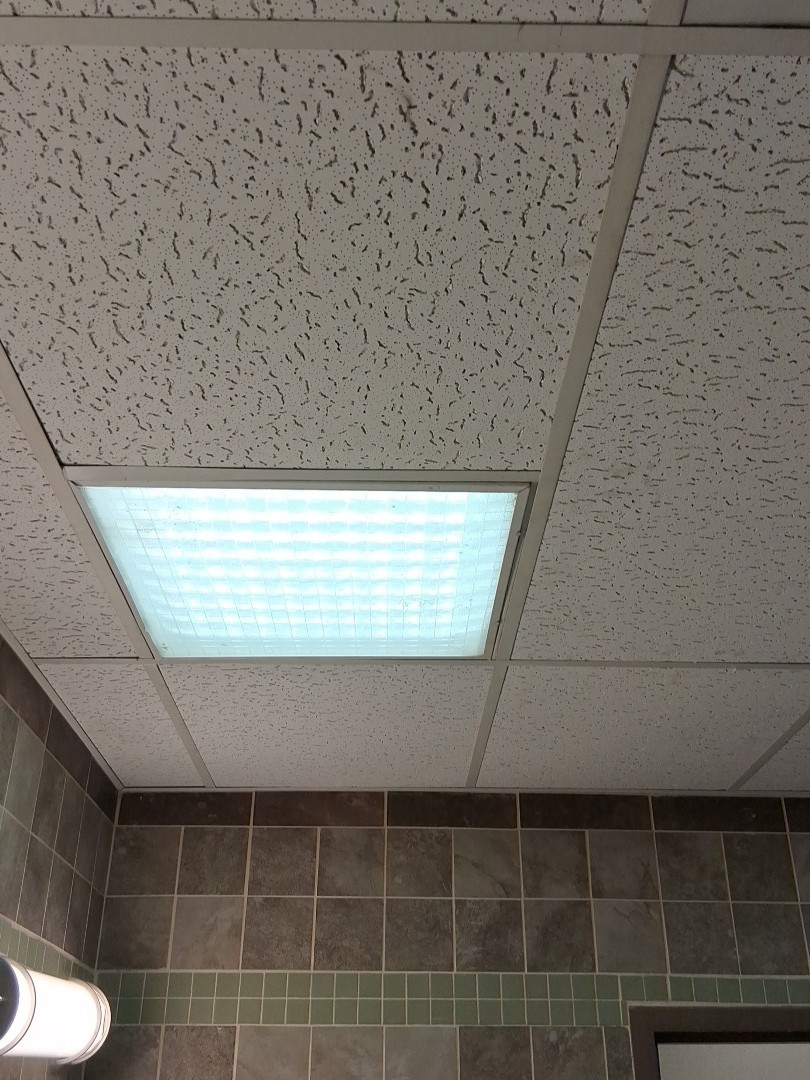 Acoustical Speckled Ceiling Tiles 24×48 Textured Tegular Drop-In 64 sq ft