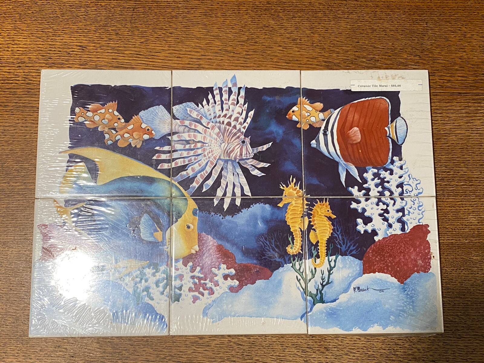 Ocean Sea Coral Reef Fish Scene Ceramic Tile Mural New Sealed Paul Brent 6” Tile
